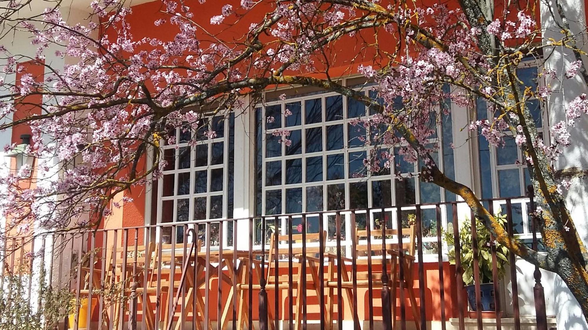 La Casa Grande De Gormaz Villa Quintanas de Gormaz Ngoại thất bức ảnh