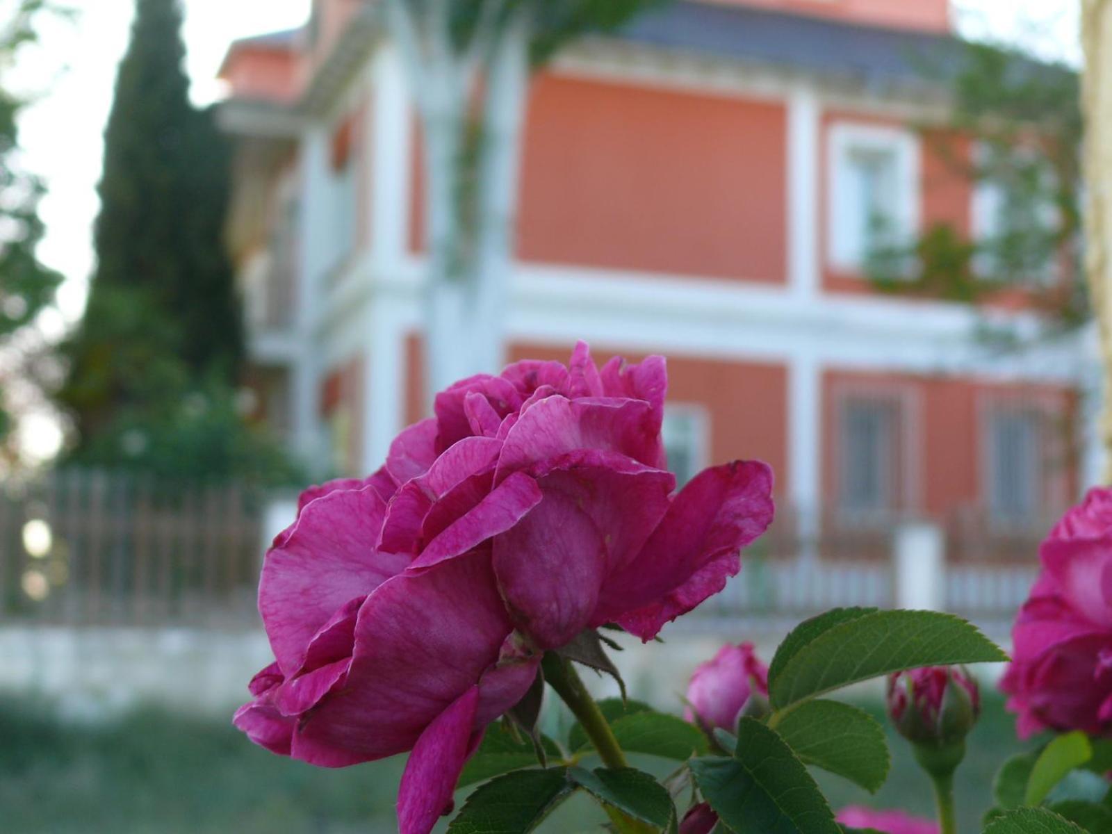 La Casa Grande De Gormaz Villa Quintanas de Gormaz Ngoại thất bức ảnh